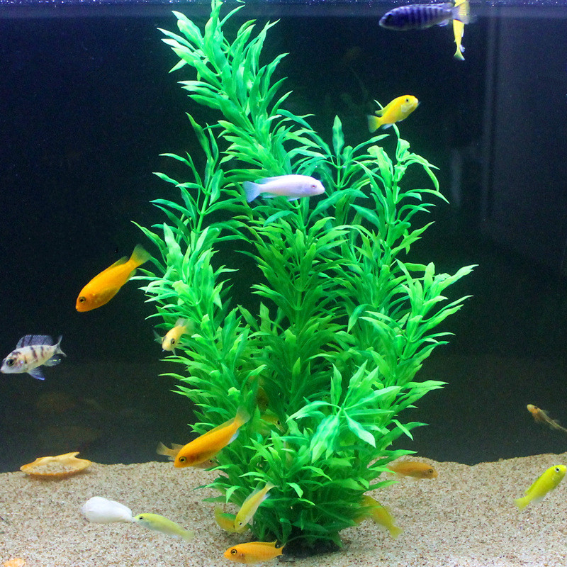 نباتات اصطناعية نادرة لأحواض ا - مراجعة Aquarium For Planted Tank وسعره