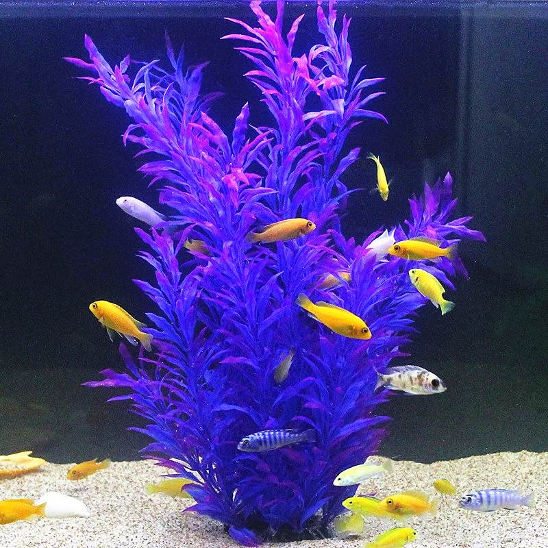 نباتات اصطناعية نادرة لأحواض ا - مراجعة Aquarium For Planted Tank وسعره