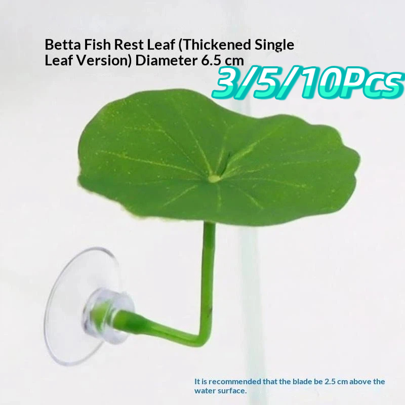 3/5/10 قطع من أوراق اللوتس الب - مراجعة Planted Aquarium Betta وسعره