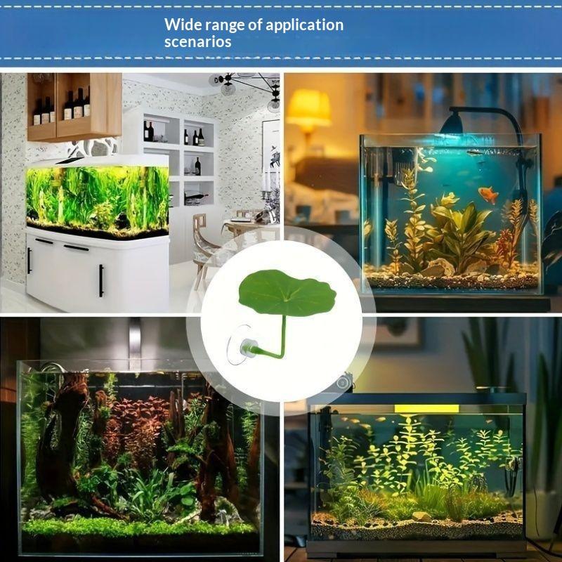 3/5/10 قطع من أوراق اللوتس الب - مراجعة Planted Aquarium Betta وسعره