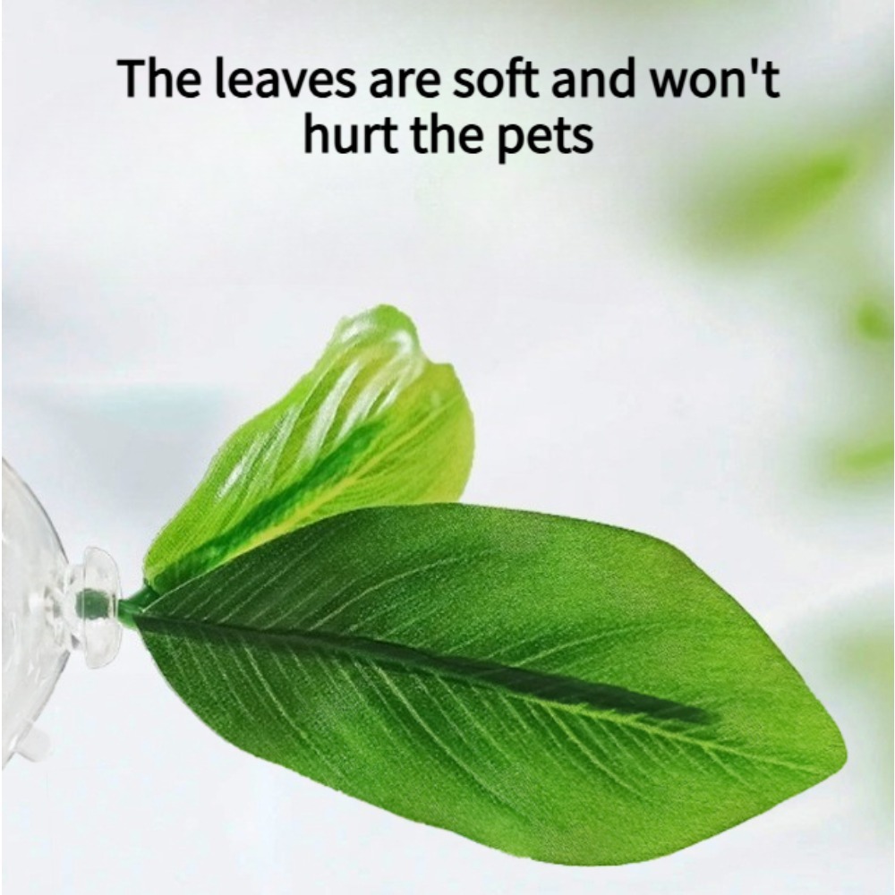 1 قطعة أرجوحة سمك البيتا ذات ا - مراجعة Planted Aquarium Betta وسعره