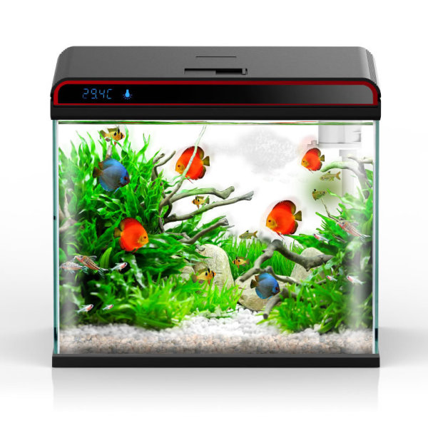 مكيف مياه حوض السمك 4 في 1 من  - مراجعة Planted Aquarium Algae Control وسعره