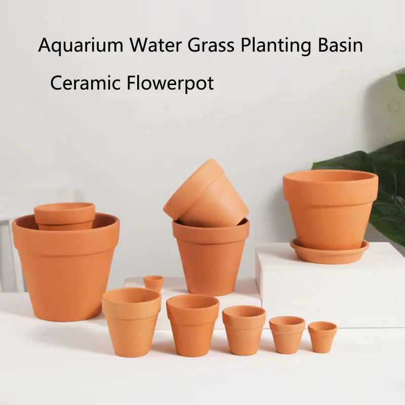 الطين الأحمر حوض السمك الديكور - مراجعة Aquarium Plant Rings وسعره