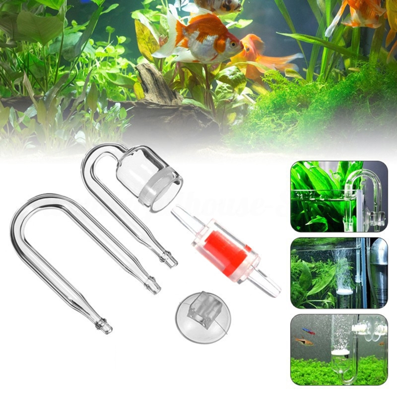 ناشر CO2 لحوض السمك ، خزان زجا - مراجعة Aquarium Plant Vine وسعره
