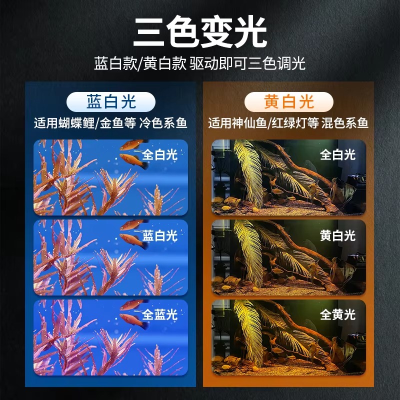 صندوق إضاءة حديث لحوض السمك لل - مراجعة Aquarium Plant Light Spectrum وسعره