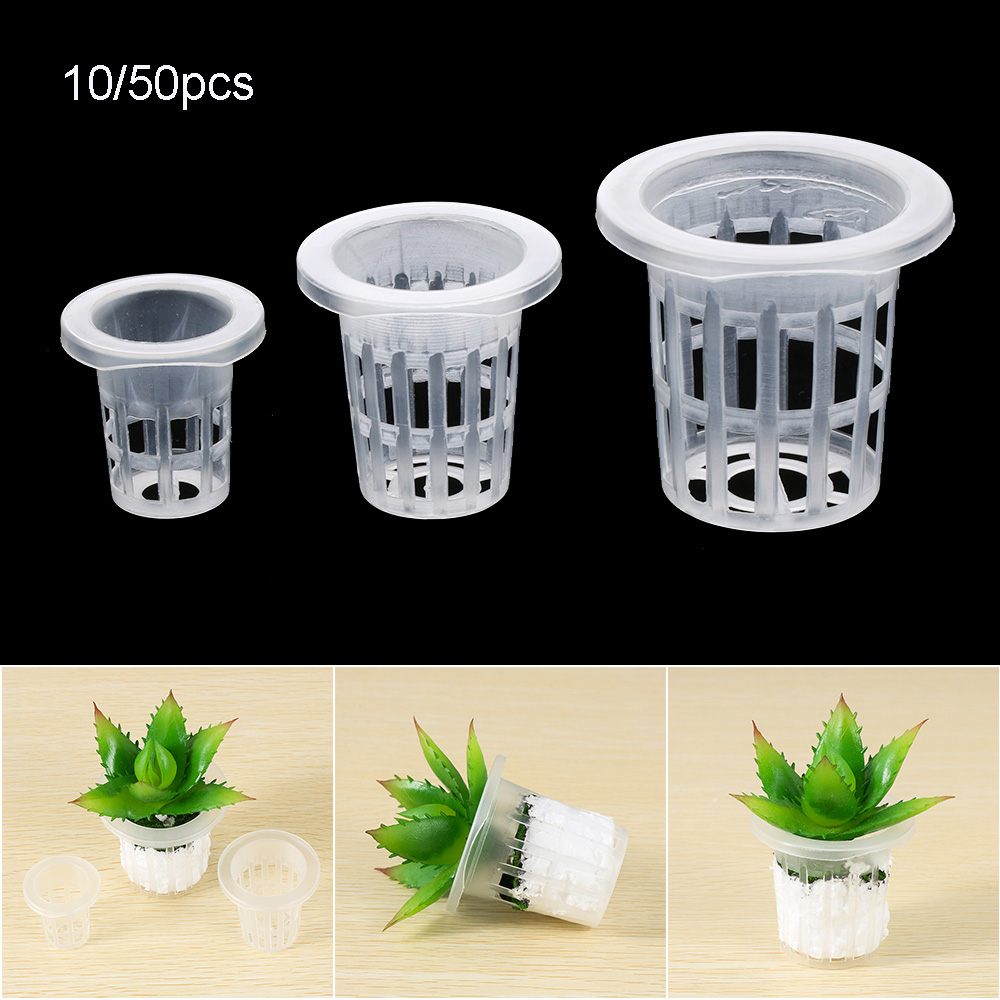 10/50 قطعة زراعة متينة حوض الس - مراجعة Aquarium Planted Seeds وسعره