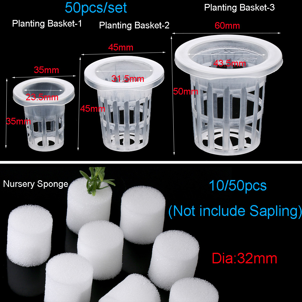 10/50 قطعة زراعة متينة حوض الس - مراجعة Aquarium Planted Seeds وسعره