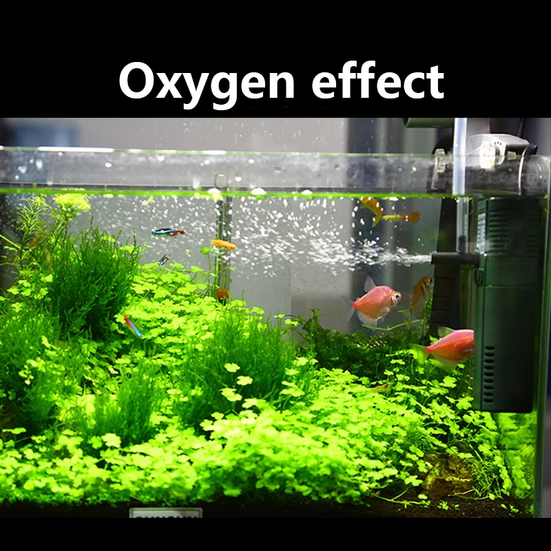 مضخة أوكسجين داخلي نانو صغيرة  - مراجعة Aquarium Planted Filter وسعره